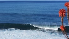 Imagem de Madeira prepara Plano de Ordenamento da Orla Costeira para entrar em vigor em 2022