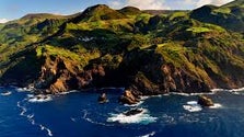 Imagem de Ilha das Flores vai continuar apenas com um veterinário (Som)
