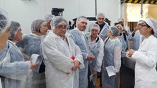 Imagem de Deputados do Parlamento Europeu reconhecem que a Madeira precisa de uma ajuda especial para as pescas