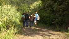 Imagem de Continuam as buscas pelo jovem suiço desaparecido em São Miguel