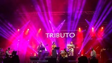 Imagem de Banda Tributo lança novo álbum (Vídeo)