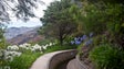 Imagem de Turista sofre queda na Levada do Norte