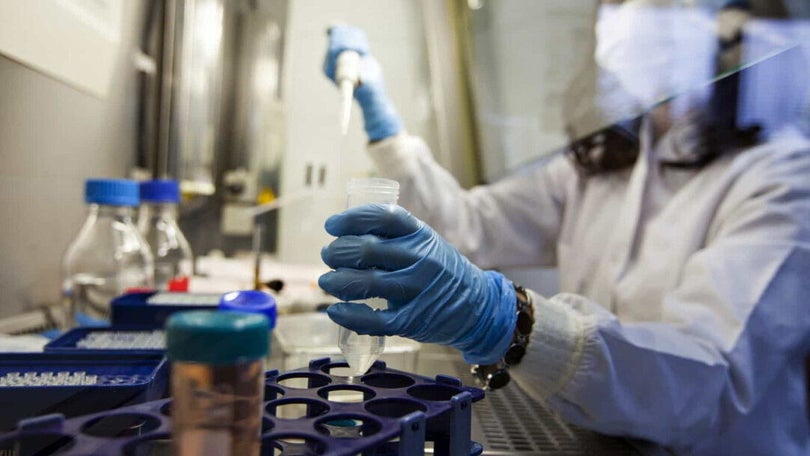 Imagem de Covid-19: Alemanha deteta problemas no processamento de testes