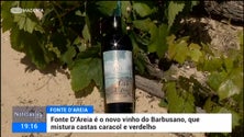 Imagem de Uvas verdelho de São Vicente e uvas caracol do Porto Santo resultam num vinho (vídeo)