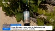 Imagem de Uvas verdelho de São Vicente e uvas caracol do Porto Santo resultam num vinho (vídeo)