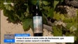 Uvas verdelho de São Vicente e uvas caracol do Porto Santo resultam num vinho (vídeo)