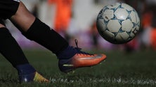 Imagem de Já arrancou a maior edição de sempre do Camacha Cup