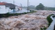 Imagem de Mulher continua desaparecida nos Açores