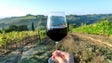 Imagem de Produtores de vinho com quebras nas vendas