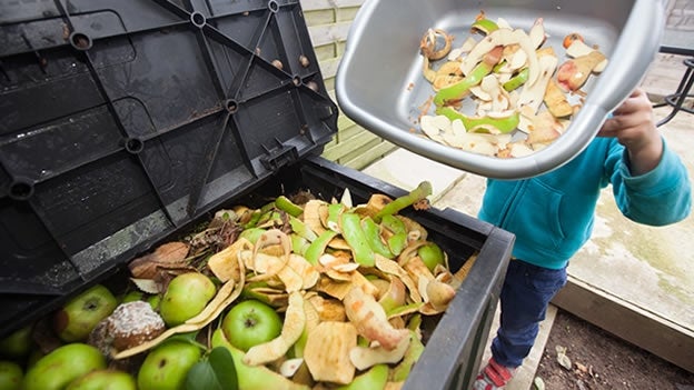 Imagem de Campanha contra o desperdício alimentar já chegou a 700 pessoas na Madeira