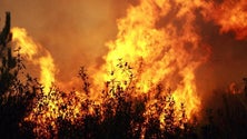 Imagem de Continua ativo o incêndio florestal no sítio da Corujeira de Baixo, no Faial