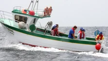 Imagem de PS diz-se preocupado com gestão das quotas de pesca (Vídeo)