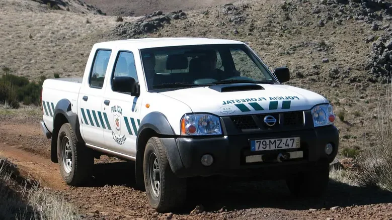 Imagem de Polícia Florestal identifica autor de despejo ilegal de terras no concelho de Santa Cruz