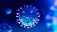 Covid-19: OMS reitera origem natural do novo Coronavírus