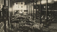 Imagem de Família Hinton doa documentos aos Arquivo Regional e Biblioteca Pública da Madeira