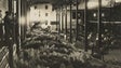 Imagem de Família Hinton doa documentos aos Arquivo Regional e Biblioteca Pública da Madeira