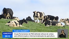 Plano e Orçamento 2020: PSD defende reforço de verbas para a agricultura [Vídeo]