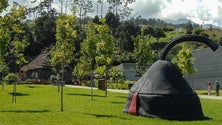 Imagem de Reconversão do Parque Temático da Madeira vai custar 1,1M€
