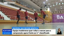 Imagem de Madeira SAD recebe este sábado o Benfica