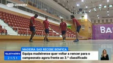 Madeira SAD recebe este sábado o Benfica