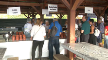 Imagem de 10ª edição do Festival de Caldo de Peixe