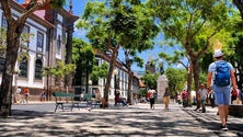 Imagem de Agentes de viagens vêm conhecer o destino Madeira