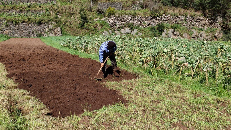 Agricultores isentos de IVA até aos 12.500 euros