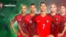 Imagem de Federação procura voluntários para apoio no jogo Portugal – Suécia