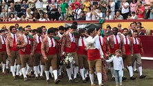 A primeira corrida das Sanjoaninas 2018 foi um hino aos forcados (Vídeo)