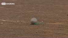 Imagem de Atletas madeirenses em destaque no campeonato nacional de lançamentos de inverno