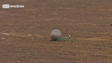 Imagem de Atletas madeirenses em destaque no campeonato nacional de lançamentos de inverno