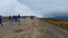 Ronda dos Castanheiros planta 30 árvores no Paul da Serra