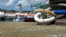 Imagem de Constrangimentos na exportação de peixe da Graciosa para o continente