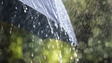 Imagem de Descida das temperaturas a partir de quinta-feira no Continente