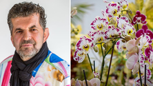 Imagem de Cortejo da Flor decorado por um dos primeiros homens a trabalhar em arte floral na Madeira