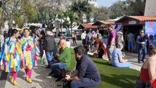 Imagem de Placa Central oferece comes e bebes e muita animação (vídeo)
