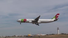 Imagem de Covid-19: TAP vai realizar voo humanitário entre Maputo-Lisboa no dia 27