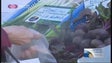 Imagem de Mercado de agricultura biológica no Funchal (Vídeo)