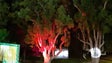 Imagem de Jardins da Quinta Magnólia acolhem 1.ª mostra de instalações artísticas (áudio)