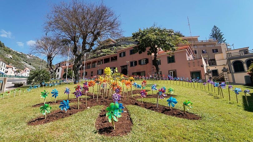 Imagem de Seiscentos cata-ventos expostos na Calheta concorrem ao Guinness