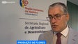 Imagem de Governo Central cria linha de crédito para apoiar setor da produção de flores de corte (Vídeo)