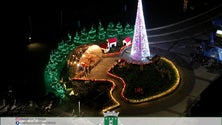 Imagem de Luzes de Natal já brilham na Ribeira Brava