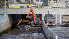 Imagem de Governo vai limpar algumas ribeiras da Região