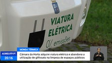 Imagem de Câmara da Horta abandona por completo a utilização de Glifosato na limpeza de espaços públicos [Vídeo]