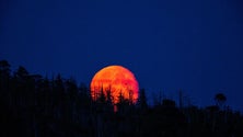Imagem de Primeiro eclipse total lunar (áudio)