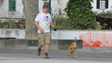 Dog Trail regressa a Machico em maio