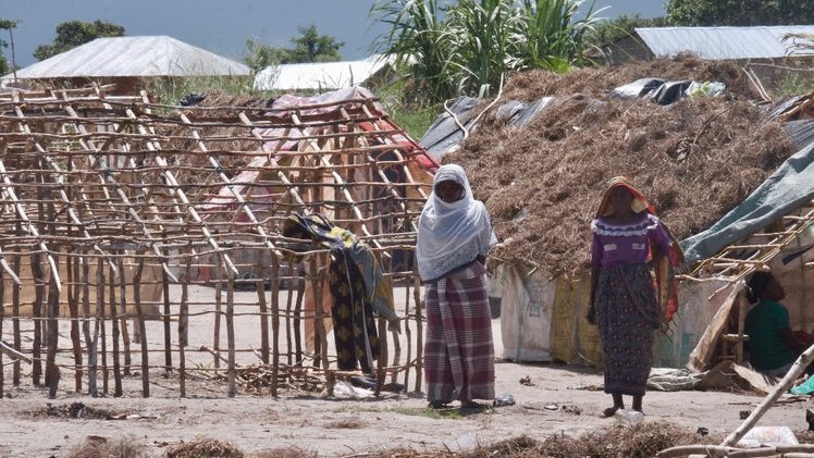Imagem de Arcebispo de Maputo pede solidariedade para as vítimas da violência