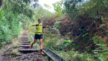 Imagem de Ultra Trail da Madeira com meio milhar de atletas (áudio)