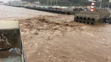 Imagem de Mau tempo registado na Marina do Funchal (vídeo)