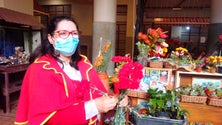 Imagem de Florista vende símbolo de Abril (áudio)